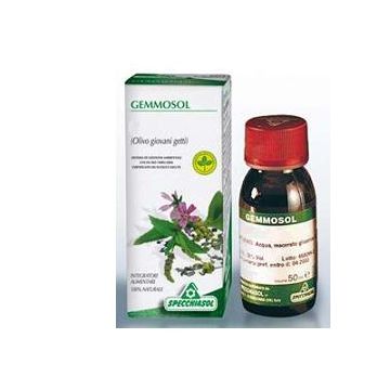 Gemmosol 36 ribes nero 50ml