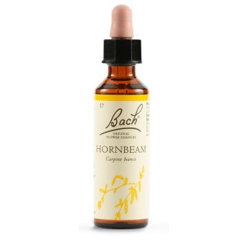Hornbeam bach original 20 ml
