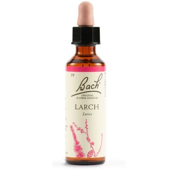 Larch bach original 20 ml