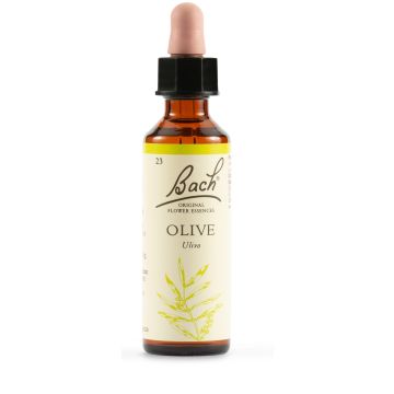 Olive bach original 20 ml